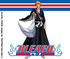 bleach3.jpgkkk.jpg